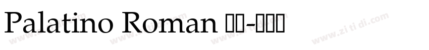 Palatino Roman 常规字体转换